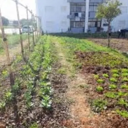 Pensionat Joe's House Fátima