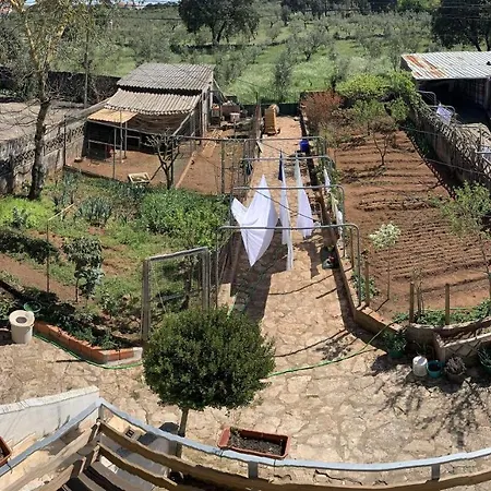 Pensionat Joe's House